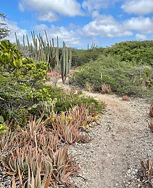 Hiking trail in the surrounding xeric landscape Trail Spaans Lagoen 15 35 21 394000.jpeg