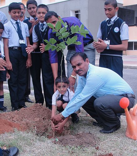 Tree planting by a boy in India