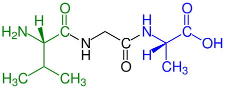 Oligopeptide