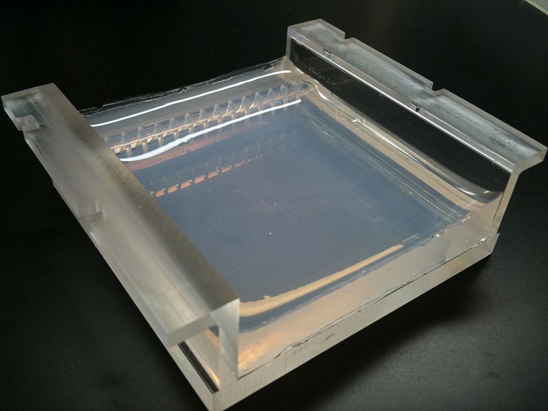 File:Two percent Agarose Gel in Borate Buffer cast in a Gel Tray (Front, angled).jpg