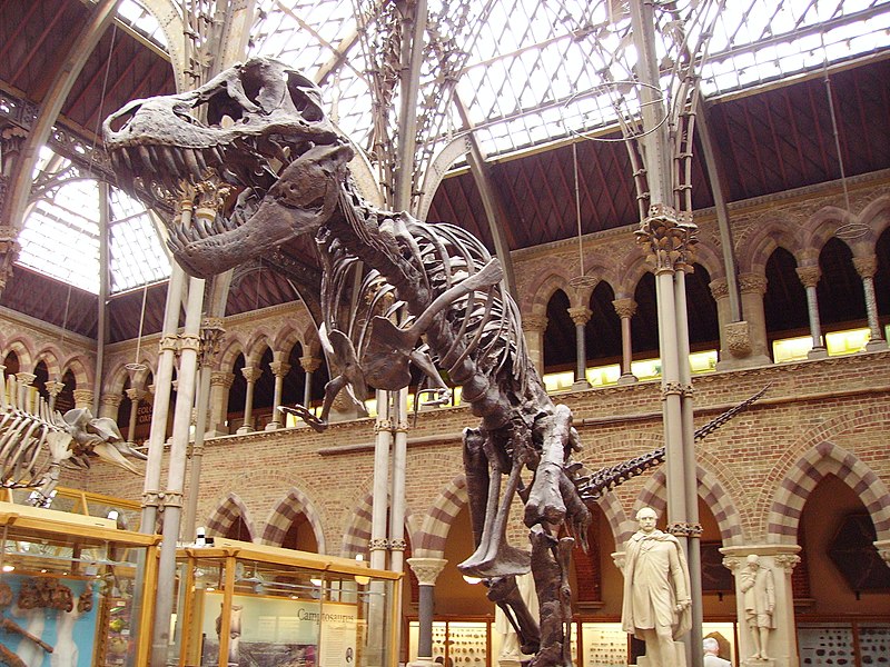 File:Tyrannosaurus rex.JPG