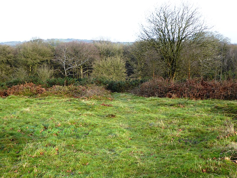 File:Ulverscroft Nature Reserve 5.jpg