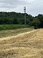 wikimedia_commons=File:Une antenne 4G à Dagneux en juillet 2023.JPG