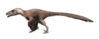 Utahraptor Restoration.png