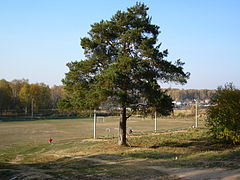 Campo de fútbol