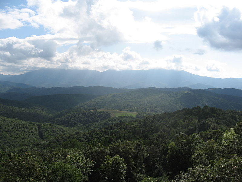 File:View From Tower 19 8-1-09.JPG