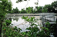 The Wetlands Boardwalk surrounds a shallow water habitat on Spring Lake Wetlands boardwalk.jpg