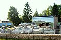 Brown bears enclosure