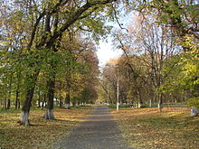 Парк-пам'ятка садово-паркового мистецтва (309 га)