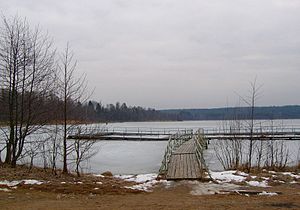 Lanaw Sa Rusya, Leningradskaya Oblast' Ozero Petrovskoye: Lanaw sa Rusya, Leningradskaya Oblast'