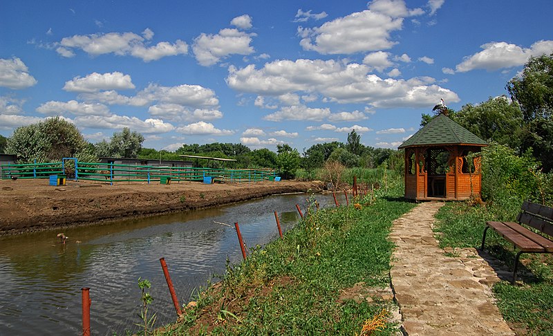 File:Пруд в Зоопарке - panoramio.jpg