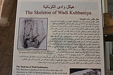 The skeleton found at Wadi Kubbaniya. hykl wdy lkwbny@ (1).jpg