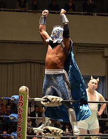 A color photograph of a Japanese wrestler wearing a light blue mask, cape and trunks posing on a turnbuckle with his hands in the air