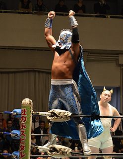 Último Dragón Japanese professional wrestler