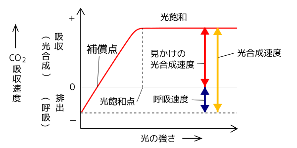 高等学校生物 生物i 細胞とエネルギー Wikibooks