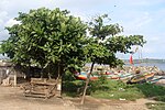 Thumbnail for File:02012 08225 Beach of Galle.jpg