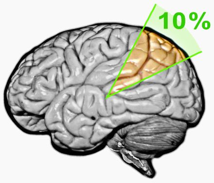 10 процентов мозга. 10% Мозга. Миф об использовании мозга на 10%. Мозг человека задействован на 10%. Мозг используется на 10 процентов миф.