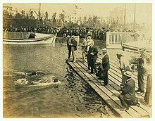 1904 Olimpiyatları- 220 yard yüzme yarışmasının bitişi.jpg