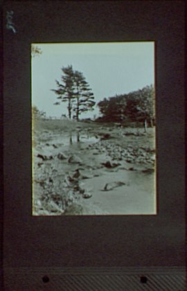 File:1917-1918, reference prints from negatives. LOC gsc.5a00220.tif