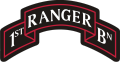 Identical to current "Ranger" insignia, except instead of "X - RANGER - BN" they read "X - AIRBORNE RANGER - CO" - there are in total 14 images — 1st through 8th and 10th through 15th Ranger Companies.