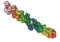 1bkv collagen triple helix