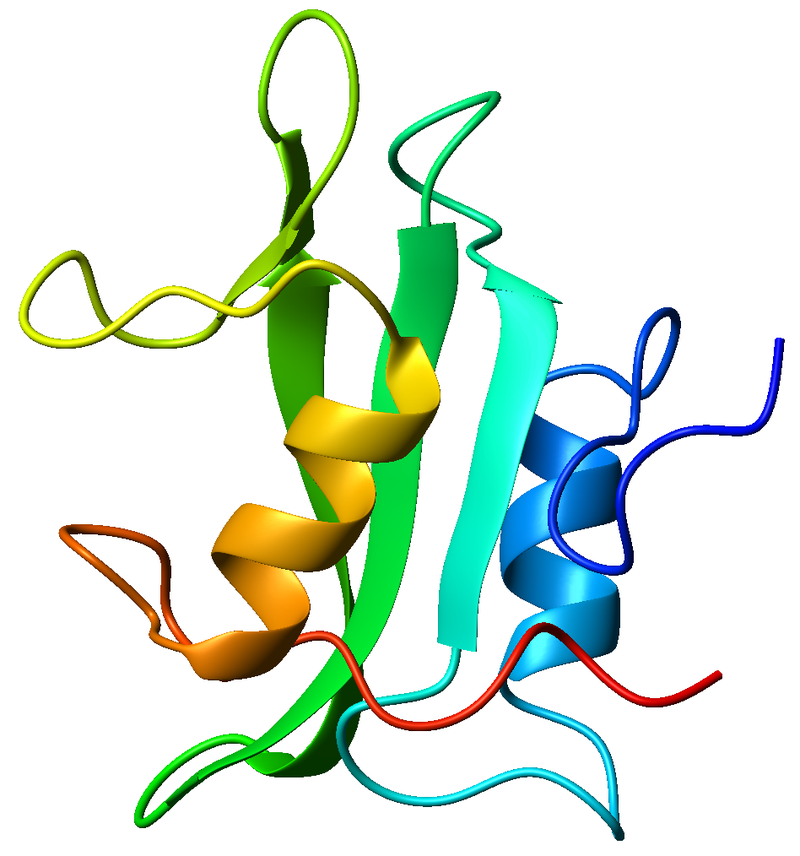 Domain (biology) - Wikipedia