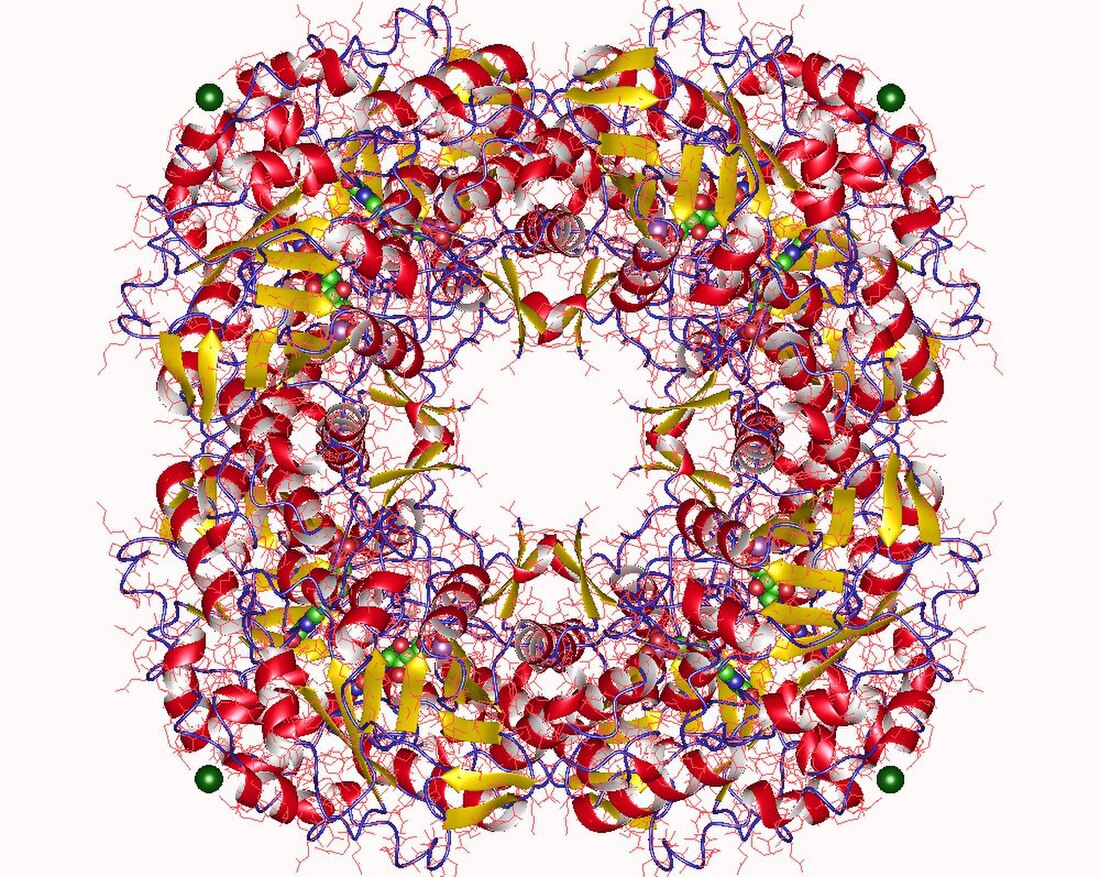 Isopentenyl-diphosphate delta isomerase