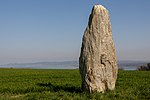 Champs des Echâtelards, menhir néolithique