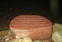 Anda Kerkhoven