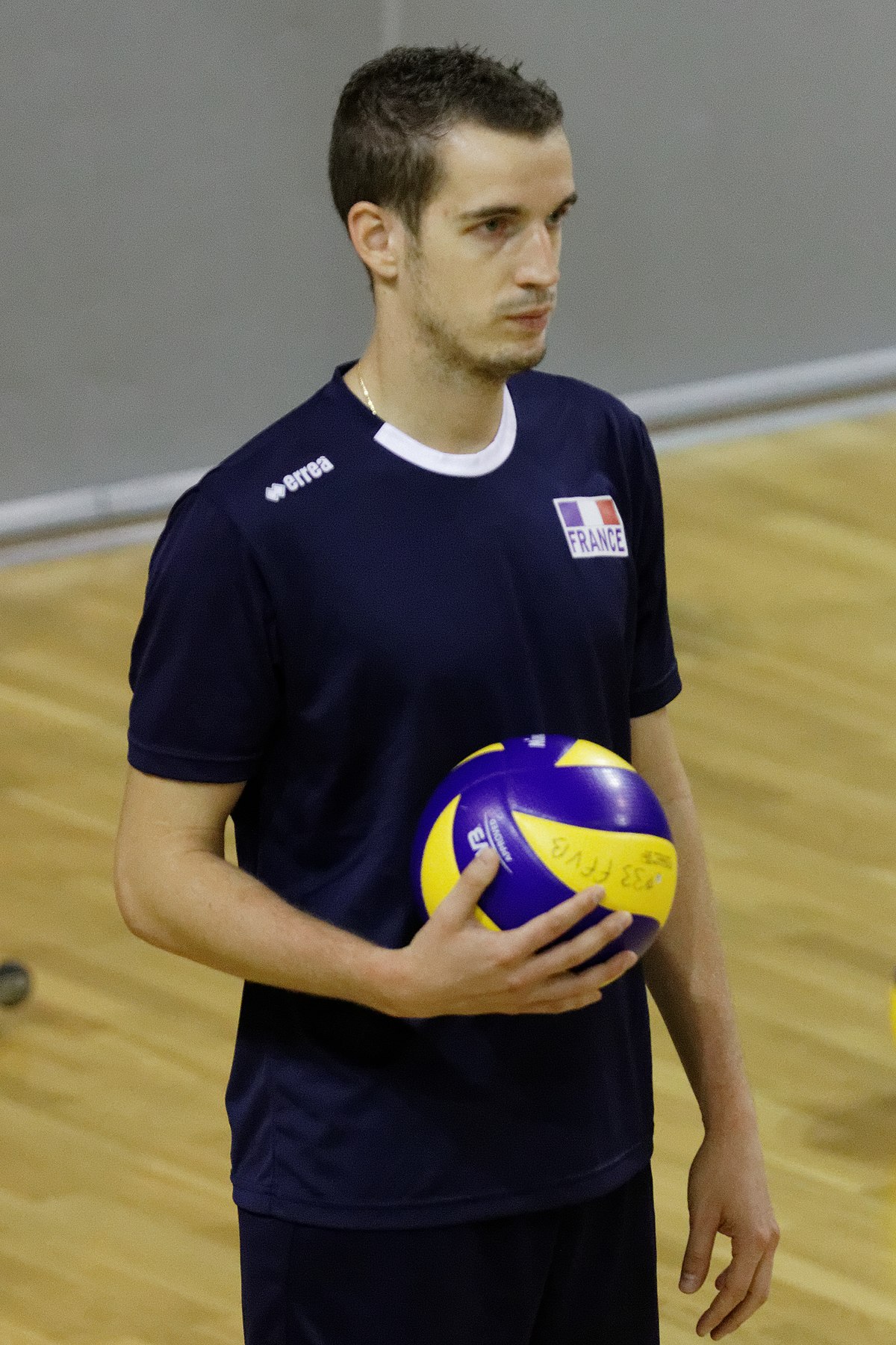 2014 FIVB Volleyball Men's World Championship - Wikipedia