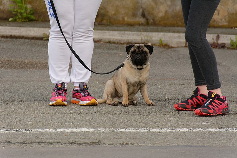 2016-04-24 10-15-55 tour-territoire-belfort.jpg