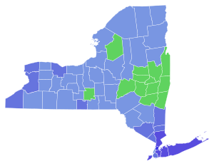 2018 New York Gubernatorial Election