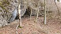 2020-03-01 Small cave next to Schwabeck's former castle, Texingtal
