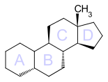 File:5β-Estrane.svg