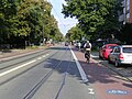 A street with strict cycle lanes on the road