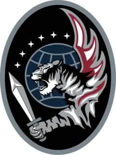 55th Combat Training Squadron U.S. Space Force unit