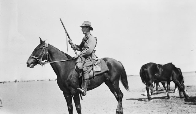 The 6th Light Horse Regiment in Palestine, 1916