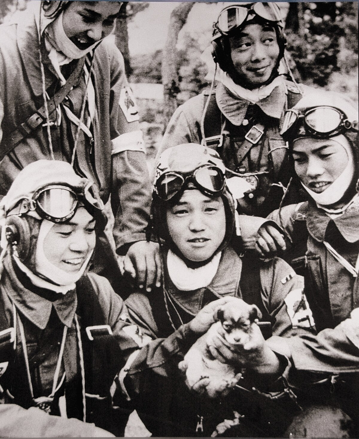 ファイル:72nd Shinbu 1945 Kamikaze.jpg - Wikipedia