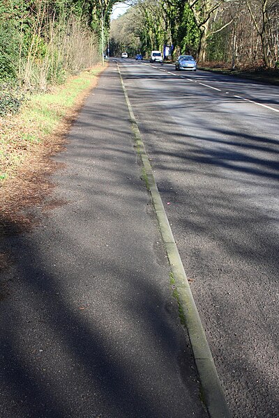 File:A320, Chertsey Road - geograph.org.uk - 4352261.jpg