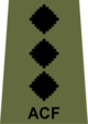 ACF Capt.png