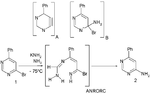 Thumbnail for ANRORC mechanism