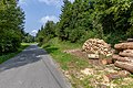 * Nomination A pile of wood by Road III-4875 and a house in Kychová (Huslenky), Czech Republic --Podzemnik 12:51, 19 December 2018 (UTC) * Promotion  Support Good quality.--Famberhorst 16:47, 19 December 2018 (UTC)