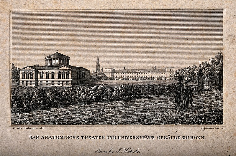 File:A view of the Anatomy theatre and University buildings, Bonn Wellcome V0012244.jpg