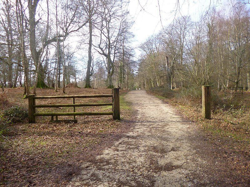 File:Acres Down, disused gates - geograph.org.uk - 3842085.jpg