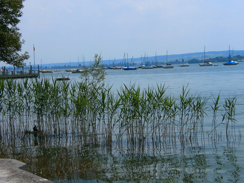 File:Allensbach-Bodensee-Partie.JPG