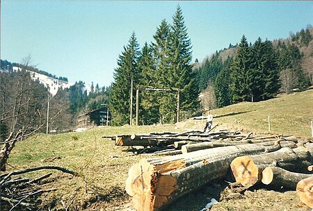 Almagmach, Immenstadt im Allgäu geo.hlipp.de 1400