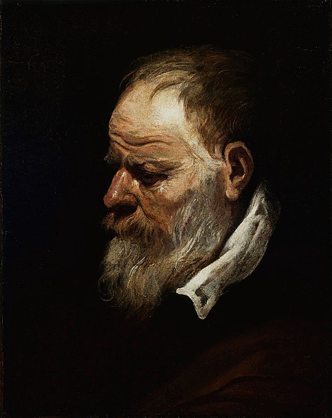 File:Antoon van Dyck - Cabeça de homem barbado.jpg