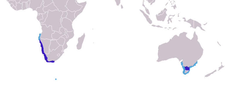 File:Arctocephalus pusillus distribution.png