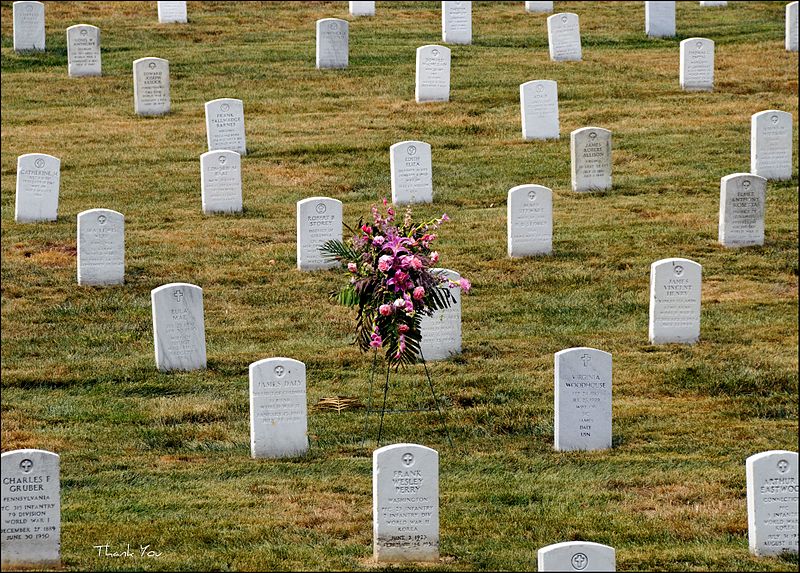 File:Arlington National Cemetery Graves (Burial Criteria) (4093805689).jpg