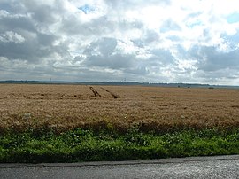 Site of the battle of Agincourt